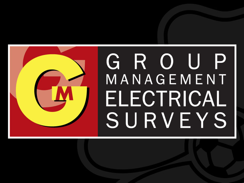 Group Management Electrical Surveys